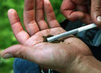 Что-то явно не то петруччео курит, ой не то...