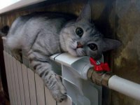 В Донецке дали тепло в социально значимые объекты