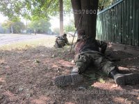 Перемирие по Борисычу