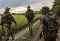 Казаки с гордостью защищают русскую землю Донбасса — атаман «Волчьей сотни»