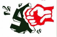 Под Мадридом местные антифашисты избили украинских националистов