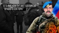 Под Горловкой в окружение попали 4 тысячи украинских военных, — Безлер
