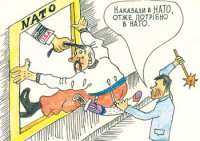 На Украине референдумы запрещены, но не ВСЕ. Тимошенко хочет НАТО