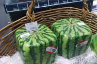 Цены в российский магазинах. Санкции не действуют (с)