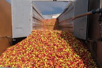 Перемога по-молдавски