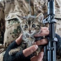 Бермуды для Украины и Донбасса /Владимир Скачко/