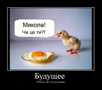 Тяжёлая жизнь долбо… дятлов