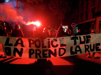 Массовые беспорядки прошли во Франции из-за убийства эколога