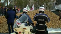Французские фермеры высыпали в центре Парижа 50 тонн картофеля и яблок (Видео)