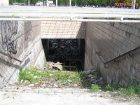 Выход из хаоса — часть I