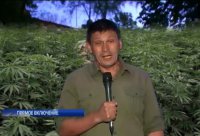 Срочно в номер!!! Наступление 16 Ноября