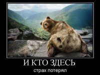 Не будите русского медведя!