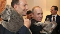 Австралийских коал научили правильно обниматься с политиками
