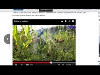 А. Шарий - Украинские блогеры разоблачили Кремль ТВ