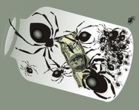 Александр Роджерс: Пауки в банке