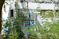 Злобная мартышка с независимостью