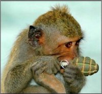 Хрупкий рассудок подсунул решение