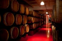 Одесских виноделов не пустили на европейский рынок