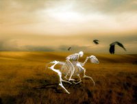 Гумилев о нынешней ситуации на Украине