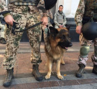 Праздник демократии /Александр Зубченко/
