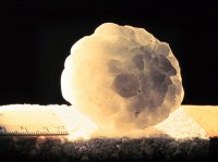 Наказание свыше? В Брисбен пришел супер-шторм: перевёрнутые самолёты и огромный град