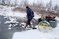 Дикие собаки, нашествие мышей и волки-трупоеды. Путешественник об Украине