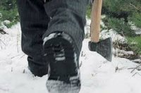 Жители Одесской области крадут дрова и рубят лес, чтобы согреться