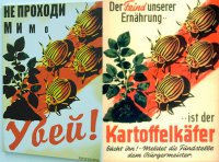 Украинско-воровская пропаганда. Даже плакаты - и те украли