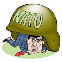 Саакашвили призвал грузинских офицеров дезертировать в армию Украины