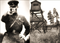 О зазывателях "нового 37-го": подумайте ещё раз, зачем