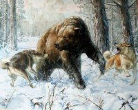 Что означает новая метафора Путина про медведя