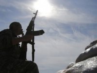 В Счастье "айдаровцы" расстреляли пятерых своих бойцов, - источник