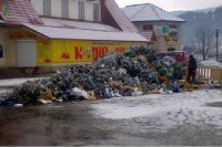 Надо ждать трагедии – на Галичине упала новогодняя елка, — приметы гуцулов