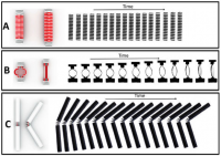 На смену трехмерной печати приходит четырехмерная
