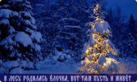 Откуда пришла новогодняя ёлка? Вся правда про глобальное управление челеовечеством