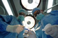 СМИ: Европе нужны галичане на запчасти - каждый день в регионе находят трупы с вырезанными органами