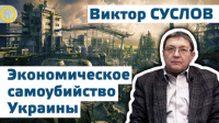 Виктор Суслов. Экономическое самоубийство Украины. 26.12.2014. Рассвет.ТВ