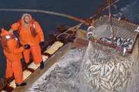 Создан Керченский морской технологический университет