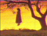 Камчатская корова по кличке Зойка