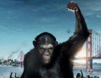 В Киеве зреет новый мятеж