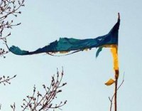 Украина: развязка близка. Блогосфера сегодня