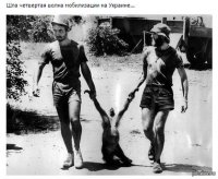 Обратная сторона «могилизации»