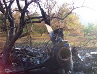 Минобороны ДНР: в небе над Донбассом сбито еще два СУ-25