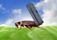 От киборгов до тараканов. Свидомая эволюция