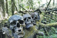 Власти Литвы обвинили российские поисковые отряды в поддержке терроризма