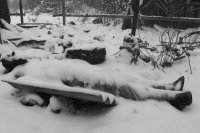 Дебальцево наше. Мы не уйдём