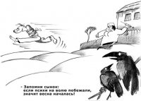 Саакашвили намерен снова вернуться во власть в Грузии