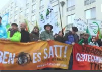 50 000 немцев вышли на демонстрацию против ГМО и американской хлорной курицы