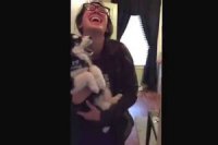 Научившийся говорить «мама» щенок хаски умиляет YouTube