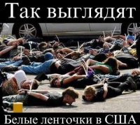 Ах вот оно что, Михалыч! Помощник Госсекретаря США: кризис на Украине - последствие разгона Болотной